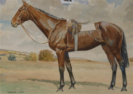 A watercolour of a racehorse Windsor Light, painted by R.L. Harvey, 23 x 33cm